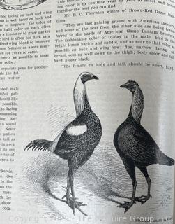 1903 THE BANTAM FOWL: A DESCRIPTION OF ALL STANDARD BREEDS AND By T. F. Mcgrew