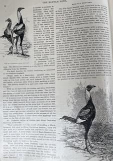 1903 THE BANTAM FOWL: A DESCRIPTION OF ALL STANDARD BREEDS AND By T. F. Mcgrew