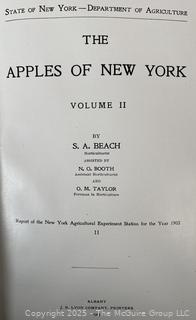 THE APPLES OF NEW YORK BY BEACH VOL I AND II 1905 HARDCOVER BOOKS