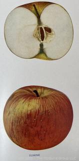 THE APPLES OF NEW YORK BY BEACH VOL I AND II 1905 HARDCOVER BOOKS