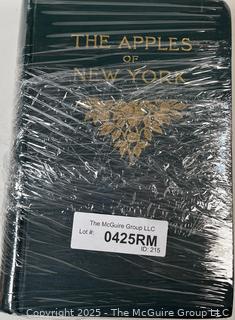 THE APPLES OF NEW YORK BY BEACH VOL I AND II 1905 HARDCOVER BOOKS