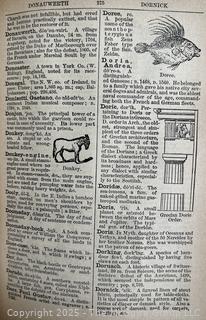 1884 The American Agriculturist Family Cyclopaedia hardcover