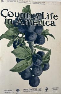 Bound volume of 1905 COUNTRY LIFE IN AMERICA MAGAZINE
