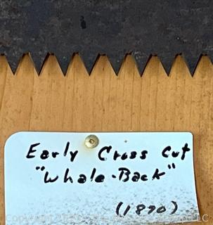 Two-Man Whale Back Crosscut Saw Circa 1870