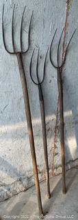 Three (3) Primitive Iron Tine Hay Pitch Forks
