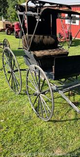 Horse Drawn Physician's Carriage Coach