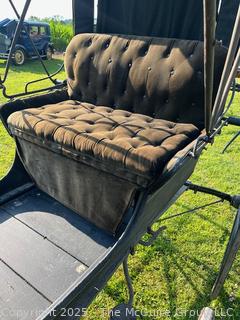 Horse Drawn Physician's Carriage Coach