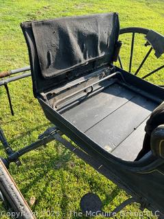Horse Drawn Physician's Carriage Coach