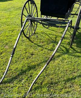 Horse Drawn Physician's Carriage Coach