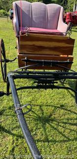 Horse-Drawn 2 Seat Carriage Buggy