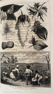 Facts for Farmers Book Edited by Solon Robinson Vol. 1