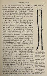 1899 Illustrated HB Textbook of Vertebrate Zoology