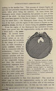 1899 Illustrated HB Textbook of Vertebrate Zoology