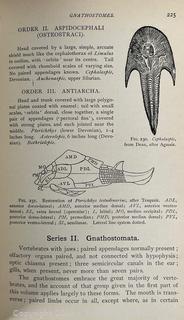 1899 Illustrated HB Textbook of Vertebrate Zoology