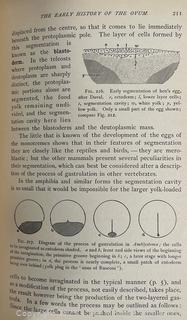 1899 Illustrated HB Textbook of Vertebrate Zoology