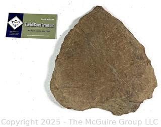 Large Native American Projectile Point Found While Working the Fields on Scotch Hill Farm in Cambridge NY