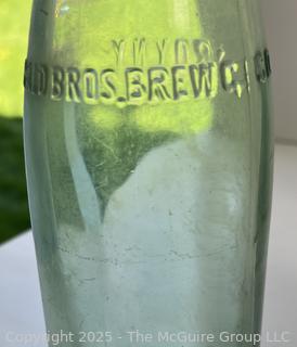 Group of six (6) antique glass bottles: various brands
