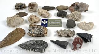Group of Natural Stone Cobbles, Fossils sand Mineral Specimens Picked While Working Scotch Hill Farm