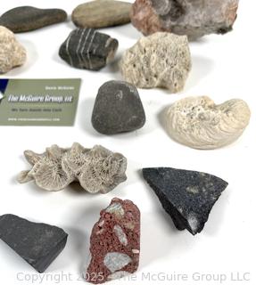 Group of Natural Stone Cobbles, Fossils sand Mineral Specimens Picked While Working Scotch Hill Farm