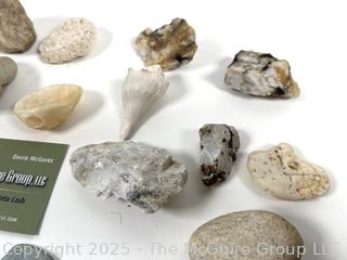 Group of Natural Stone Specimens, Fossils and Possible Native Handtool Fragments Picked While Working Scotch Hill Farm