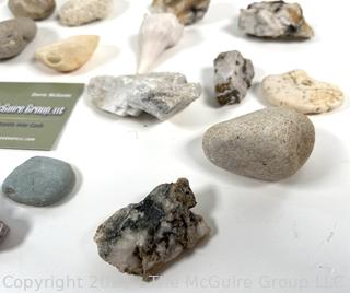 Group of Natural Stone Specimens, Fossils and Possible Native Handtool Fragments Picked While Working Scotch Hill Farm
