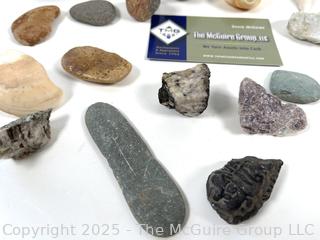 Group of Natural Stone Specimens, Fossils and Possible Native Handtool Fragments Picked While Working Scotch Hill Farm