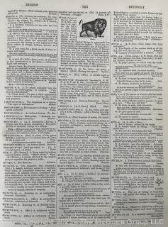 1864 DICTIONARY OF THE ENGLISH LANGUAGE. Worcester, Boston ed.