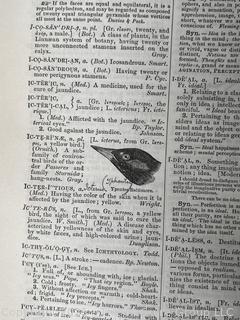 1864 DICTIONARY OF THE ENGLISH LANGUAGE. Worcester, Boston ed.