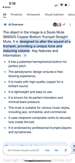 Soulo Trumpet Mute