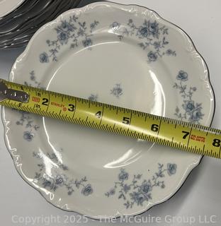 Set of Johann Haviland Bavaria Germany Porcelain China Dinner Ware