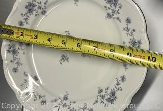 Set of Johann Haviland Bavaria Germany Porcelain China Dinner Ware