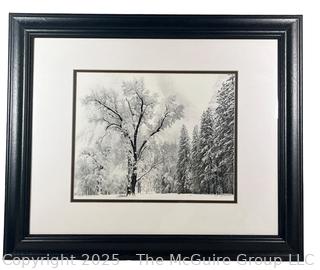 Framed Under Glass Black & White Photograph of Winter Scene.  19 x 23"