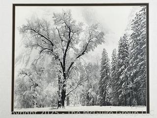 Framed Under Glass Black & White Photograph of Winter Scene.  19 x 23"