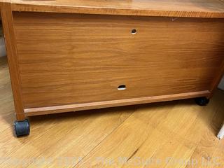 Mid-Century Scandinavian Modern Rolling Teak Stereo Cabinet.  33" x 17" x 18"  {Pickup Location: 311 Chestnut St., Falls Church City, VA 22046}