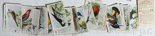 Collections of Victorian Era Cards Including Authors, Birds, Nursery Rhymes, etc