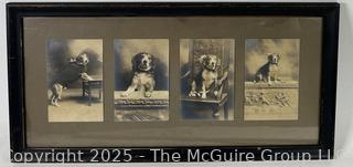 Victorian Framed Under Glass Photographs of Family Dog. 