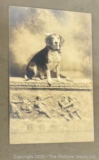 Victorian Framed Under Glass Photographs of Family Dog. 