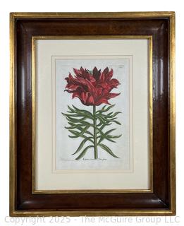 Framed Under Glass Lithograph of Flower. 19" x 23"