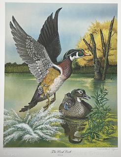 Radnor Lake Commemorative Natural Area Print