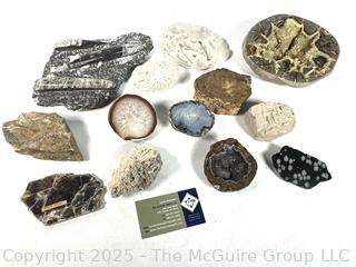 Collections of Fossils, Rocks and Geodes