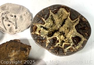 Collections of Fossils, Rocks and Geodes