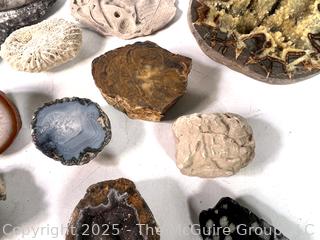 Collections of Fossils, Rocks and Geodes
