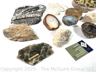 Collections of Fossils, Rocks and Geodes
