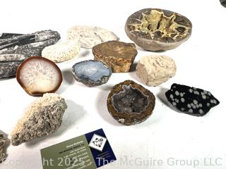 Collections of Fossils, Rocks and Geodes