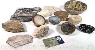 Collections of Fossils, Rocks and Geodes