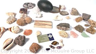 Collection of Rocks and Shells