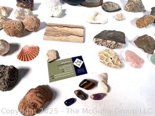 Collection of Rocks and Shells
