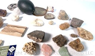 Collection of Rocks and Shells