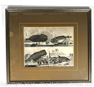 Framed Under Glass Lithograph of Whales.  