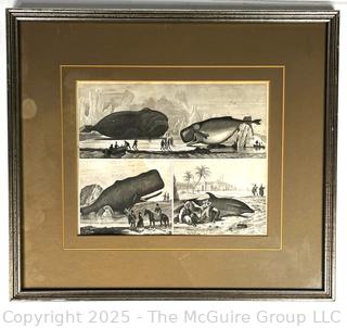 Framed Under Glass Lithograph of Whales.  